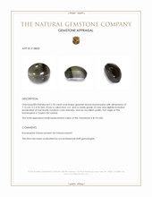 2.18 Ct. Greenish Brown Cabochon Cat’s Eye Kornerupine from Ceylon (Sri Lanka) Appraisal