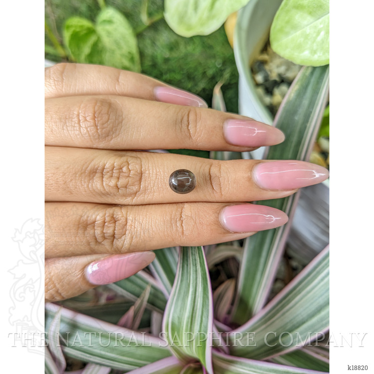 2.18 Ct. Cabochon Kornerupine from Ceylon (Sri Lanka)