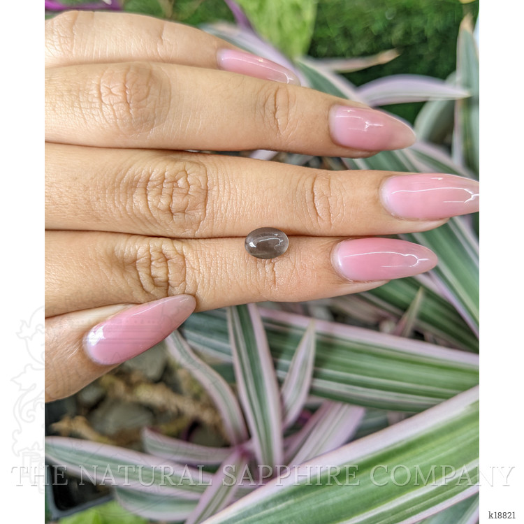 1.48 Ct. Cabochon Kornerupine from Ceylon (Sri Lanka)