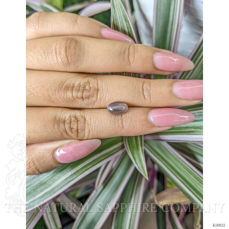 1.69 Ct. Cabochon Kornerupine from Ceylon (Sri Lanka)