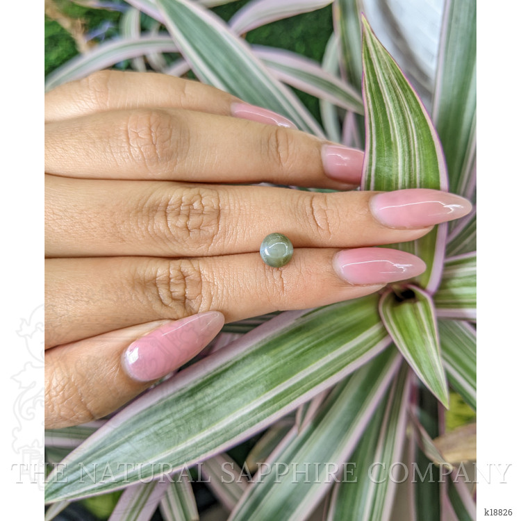 2.33 Ct. Cabochon Chrysoberyl from Ceylon (Sri Lanka)