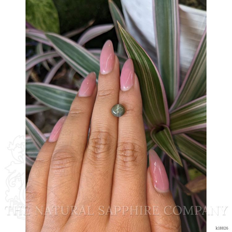 2.33 Ct. Cabochon Chrysoberyl from Ceylon (Sri Lanka)