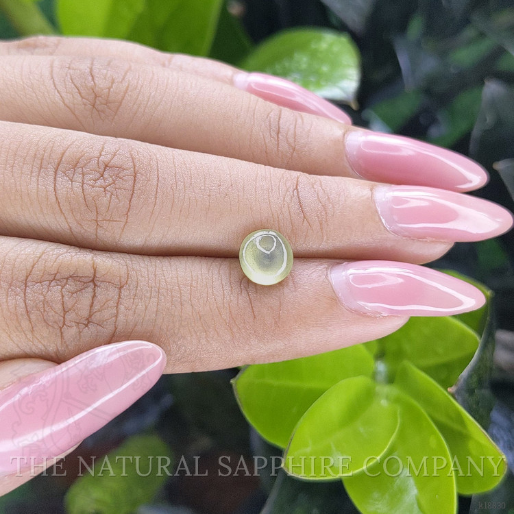 1.68 Ct. Cabochon Chrysoberyl from Ceylon (Sri Lanka)