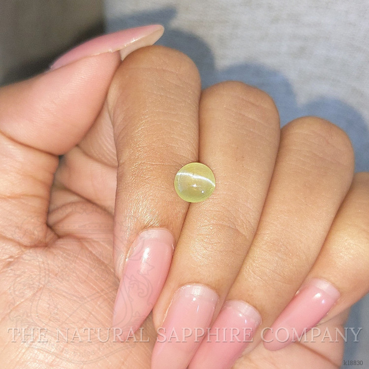 1.68 Ct. Cabochon Chrysoberyl from Ceylon (Sri Lanka)