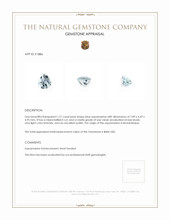 1.21 Ct. Aquamarine from Mozambique Appraisal
