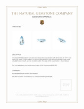1.25 Ct. Aquamarine from Mozambique Appraisal
