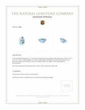 1.27 Ct. Aquamarine from Mozambique Appraisal