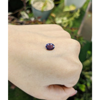 1.42 Ct. Spinel from Ceylon (Sri Lanka) Life Style