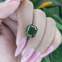 6.98 Ct. Tourmaline from Tanzania Life Style