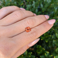 1.58 Ct. Spinel from Ceylon (Sri Lanka) Life Style