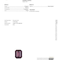 11.07 Ct. Red Spinel from Ceylon (Sri Lanka) Scan Report