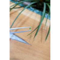 0.19 Ct. Peridot from Pakistan Life Style