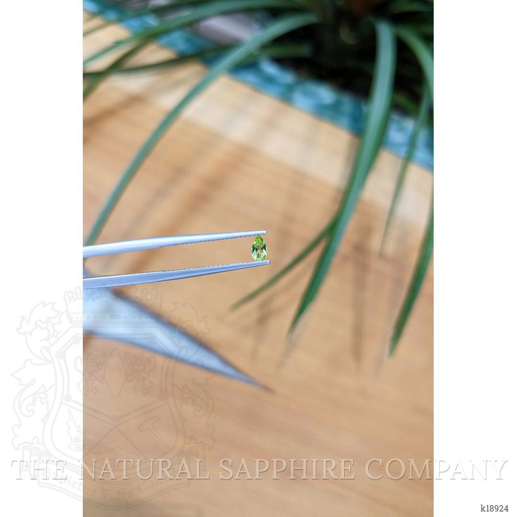 0.19 Ct. Peridot from Pakistan