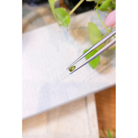 0.22 Ct. Peridot Life Style