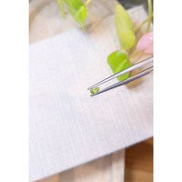 0.23 Ct. Peridot Life Style