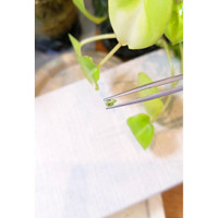 0.20 Ct. Peridot Life Style