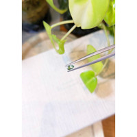 0.29 Ct. Peridot Life Style