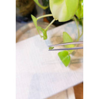 0.22 Ct. Peridot Life Style