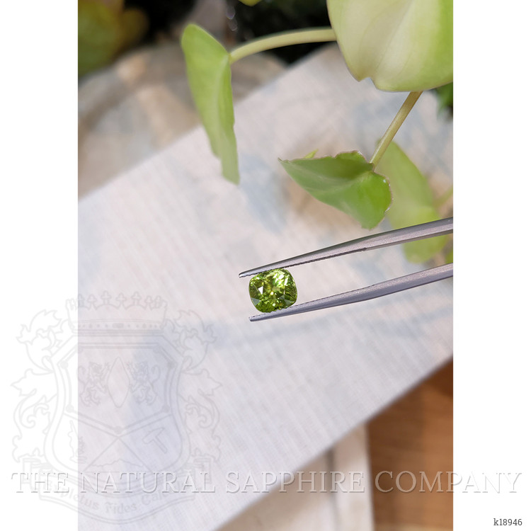 2.27 Ct. Peridot from Burma (Myanmar)