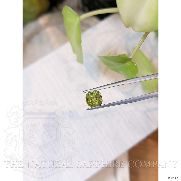 2.11 Ct. Peridot from Burma (Myanmar)