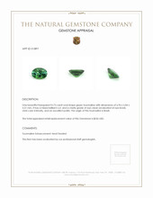 Jewelry Appraisal