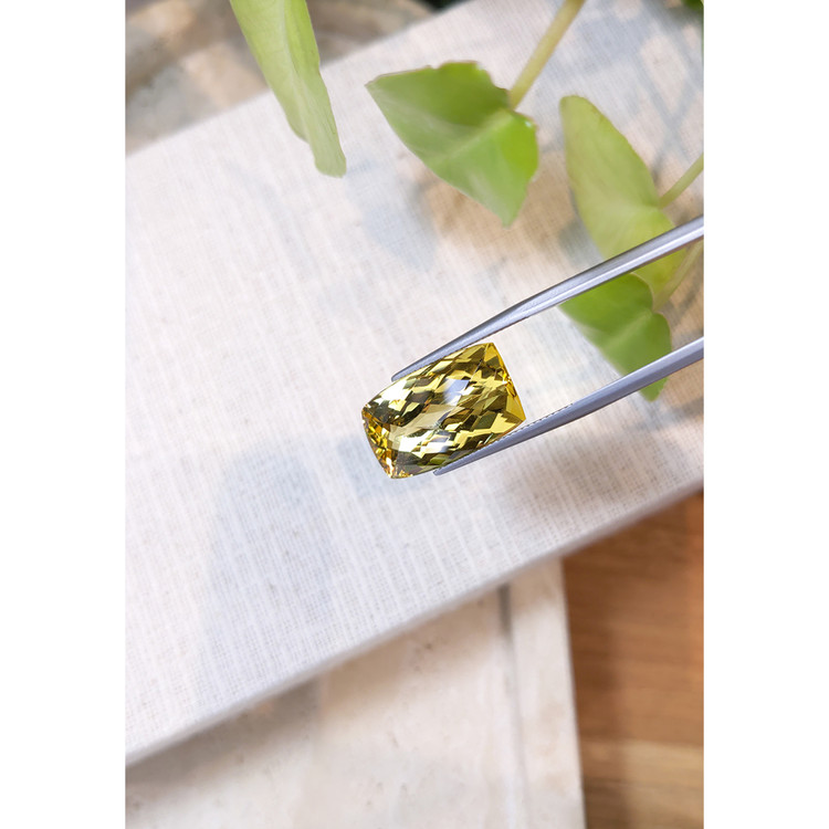 14.01 Ct. Beryl from Madagascar