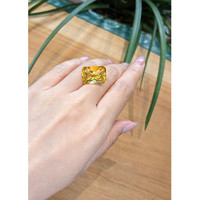15.79 Ct. Citrine from Brazil Life Style