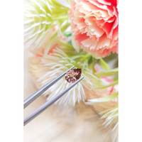 2.79 Ct. Zircon from Ceylon (Sri Lanka) Life Style