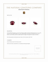 1.35 Ct. Garnet from Ceylon (Sri Lanka) Appraisal