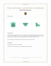 0.67 Ct. Tourmaline from Brazil Appraisal