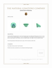 0.67 Ct. Tourmaline from Brazil Appraisal
