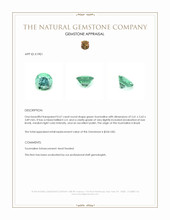 0.67 Ct. Tourmaline from Brazil Appraisal