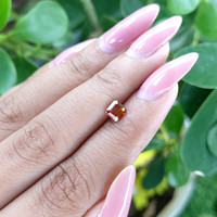 0.74 Ct. Spessartite Garnet from Madagascar Life Style