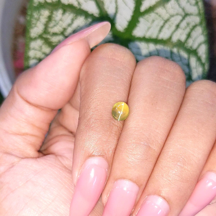 1.17 Ct. Cabochon Chrysoberyl from Madagascar