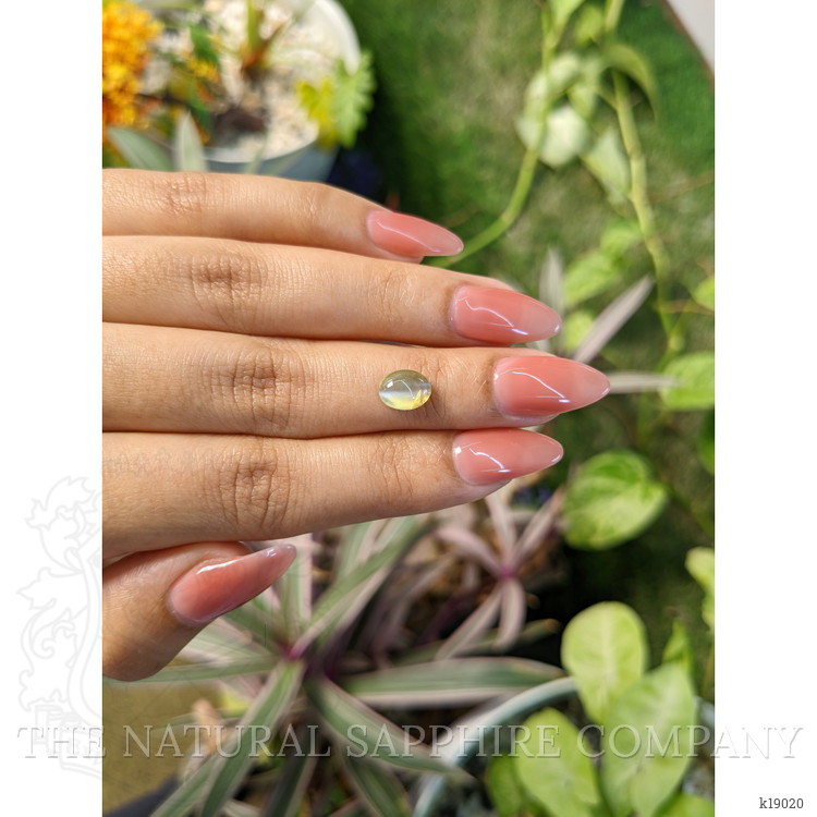 1.86 Ct. Cabochon Chrysoberyl from Ceylon (Sri Lanka)