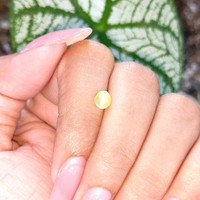 1.10 Ct. Cabochon Chrysoberyl from Madagascar Life Style