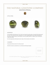 2.66 Ct. Brownish Green Cabochon Chrysoberyl from Ceylon (Sri Lanka) Appraisal