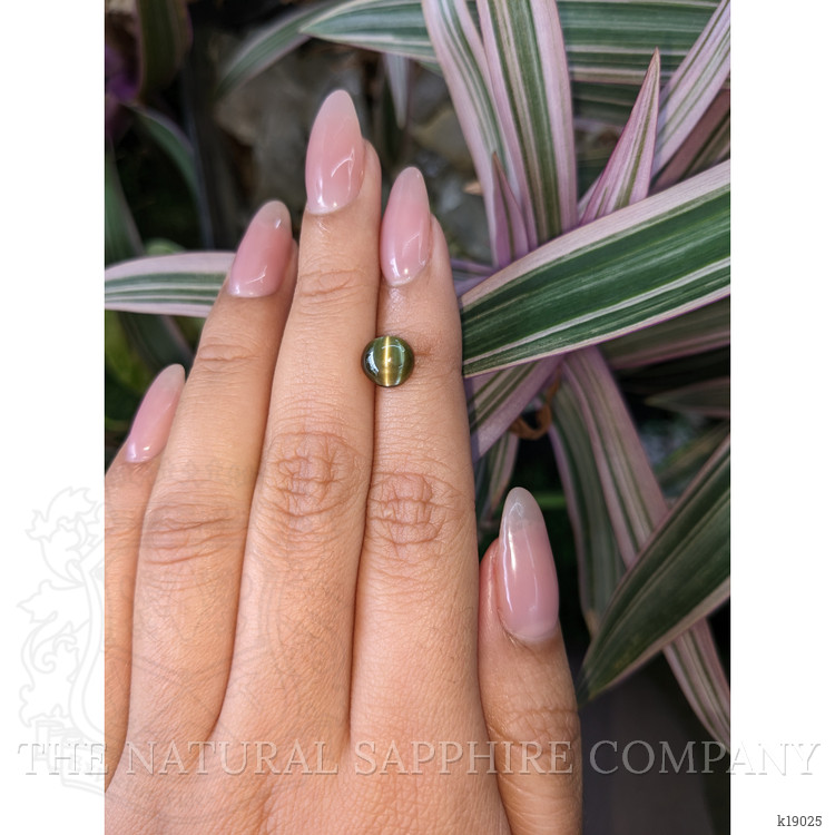 2.66 Ct. Cabochon Chrysoberyl from Ceylon (Sri Lanka)