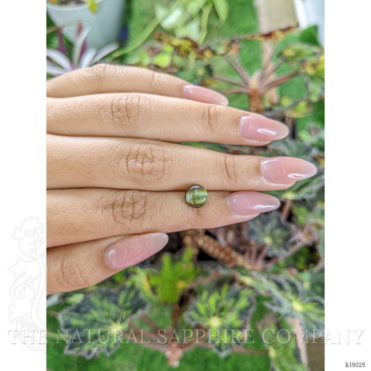 2.66 Ct. Cabochon Chrysoberyl from Ceylon (Sri Lanka)