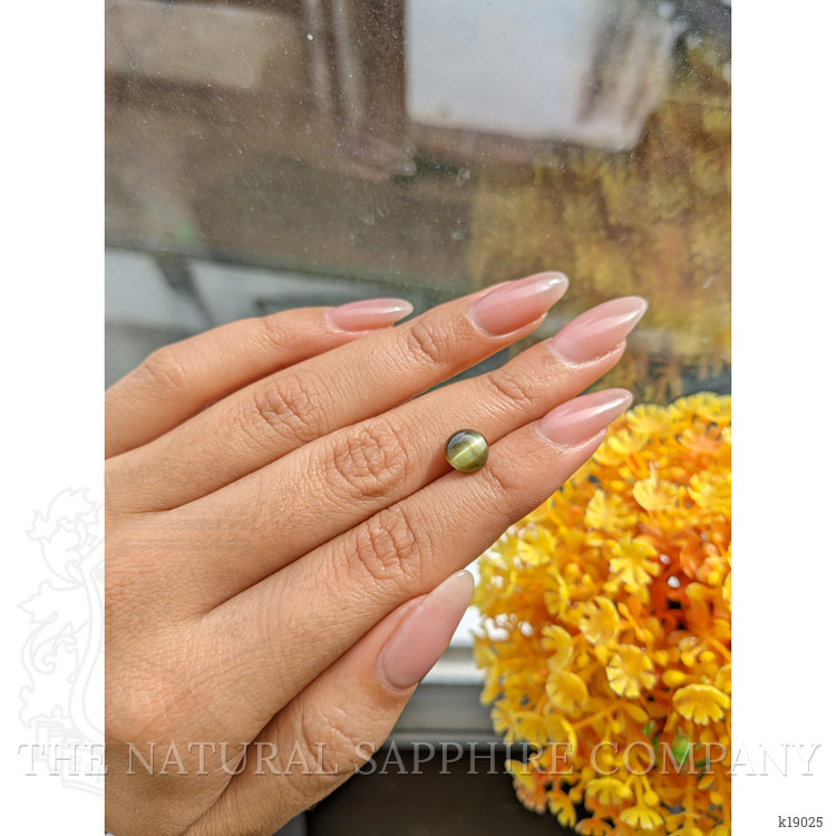 2.66 Ct. Cabochon Chrysoberyl from Ceylon (Sri Lanka)