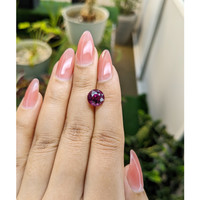 3.94 Ct. Garnet from Ceylon (Sri Lanka) Life Style