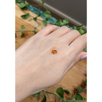 0.97 Ct. Spessartite Garnet from Madagascar Life Style