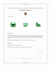 0.68 Ct. Tourmaline from Brazil Appraisal