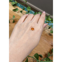 1.47 Ct. Spessartite Garnet from Madagascar Life Style