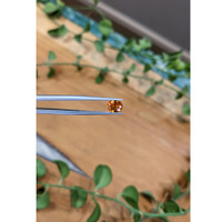 1.47 Ct. Spessartite Garnet from Madagascar Life Style