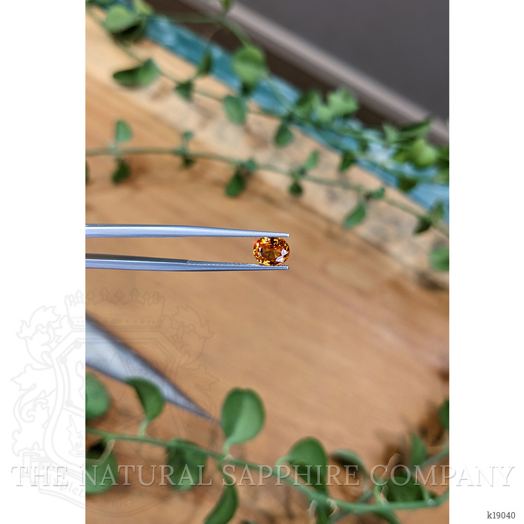 1.47 Ct. Spessartite Garnet from Madagascar