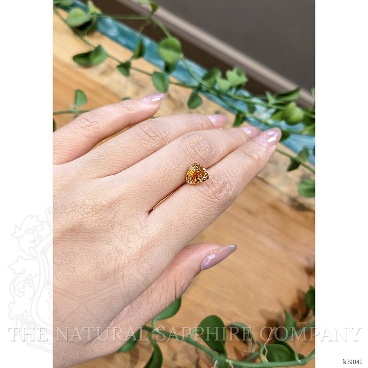 3.41 Ct. Hessonite Garnet from Madagascar