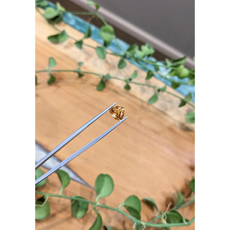 3.41 Ct. Hessonite Garnet from Madagascar