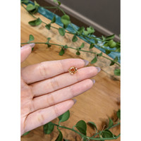 3.09 Ct. Hessonite Garnet from Madagascar Life Style