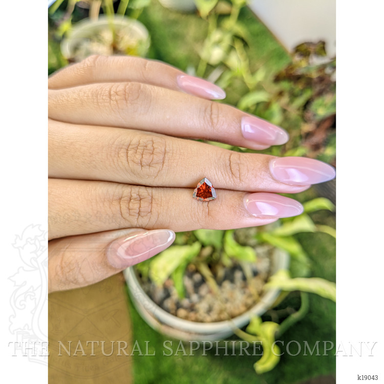 1.12 Ct. Garnet from Ceylon (Sri Lanka)